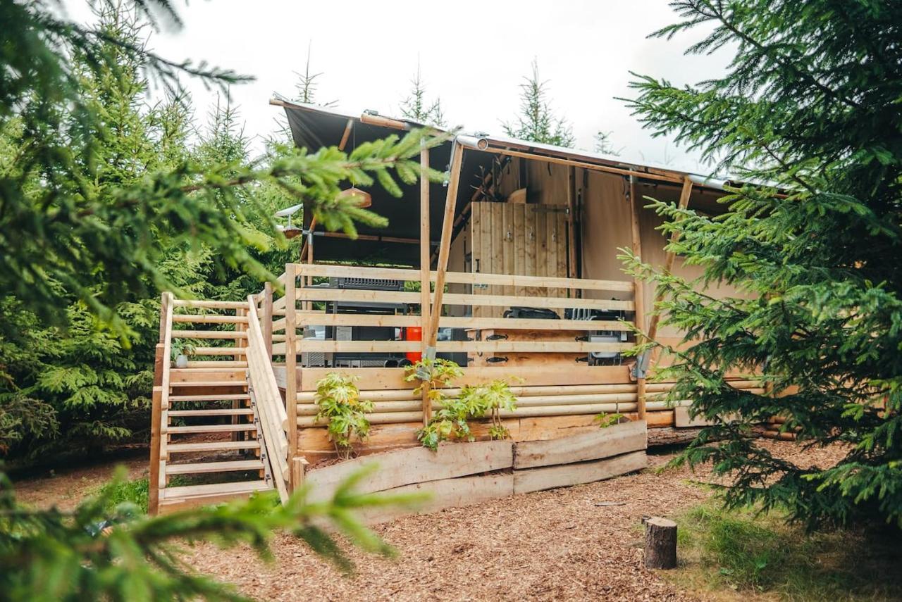 Cosy Forest Lodge Penrhos  Exterior foto
